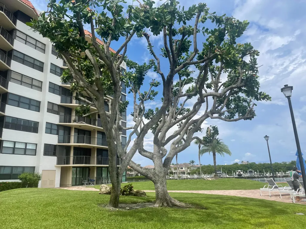 899 Jeffery Street Boca Raton FL 33487