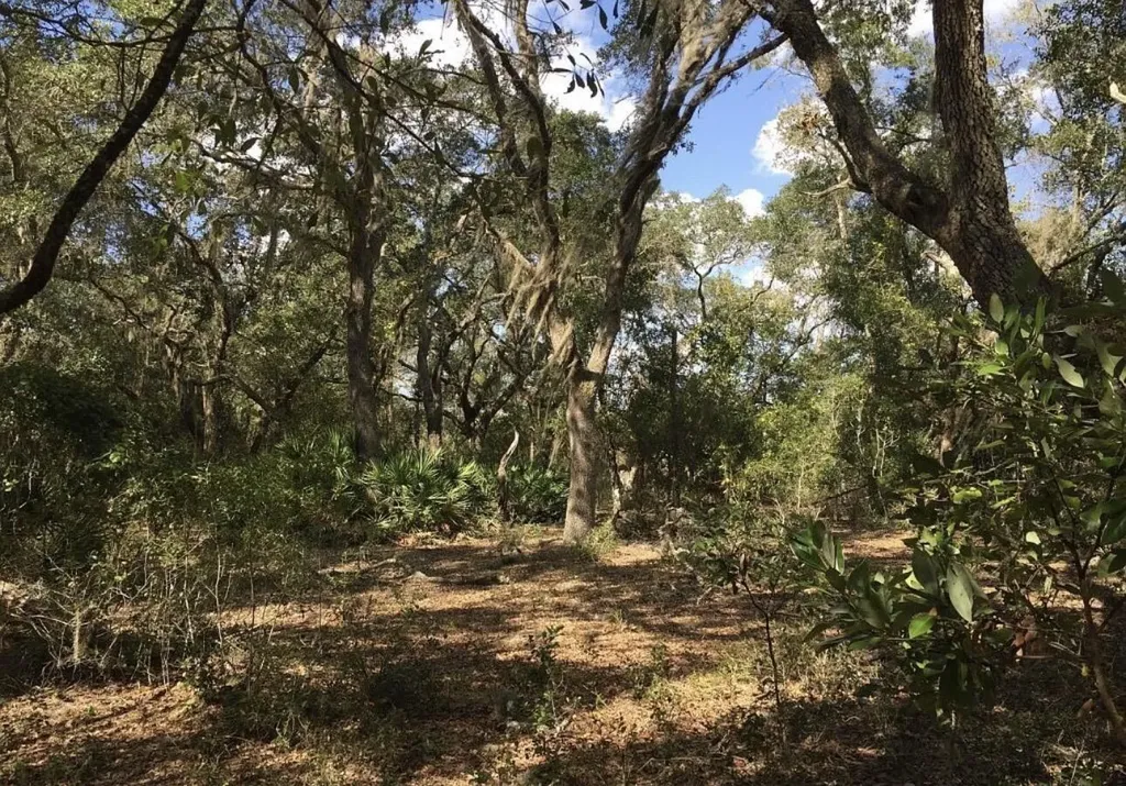 8922 E Gulf To Lake Highway Inverness FL 34450