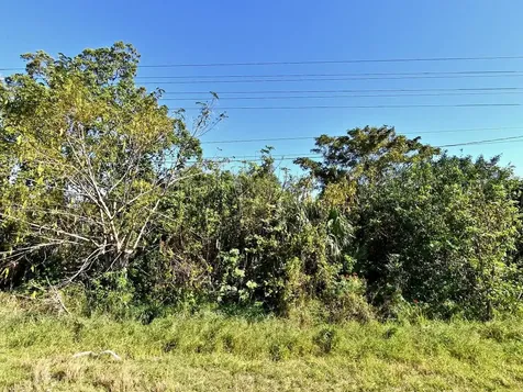 3950 N Us Highway 1 Fort Pierce FL 34946