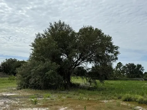 16814 NW 296th Street Okeechobee FL 34972