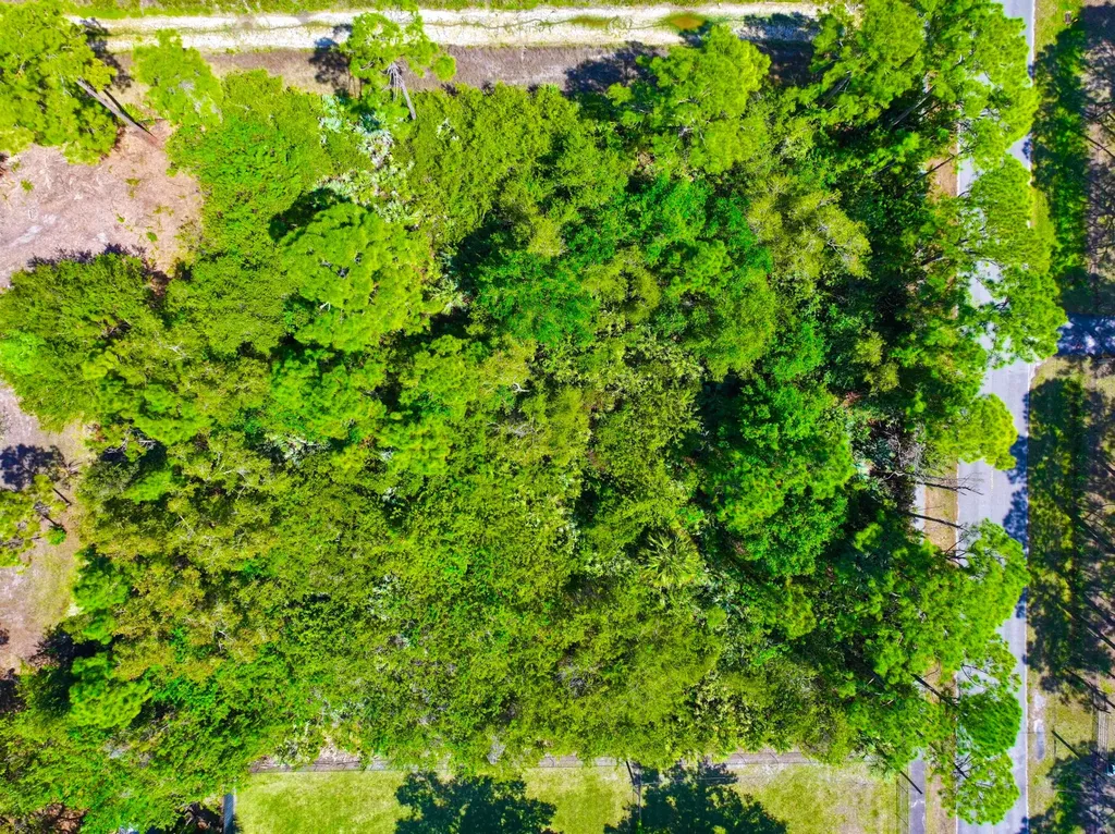 17771 Key Lime Boulevard The Acreage FL 33470