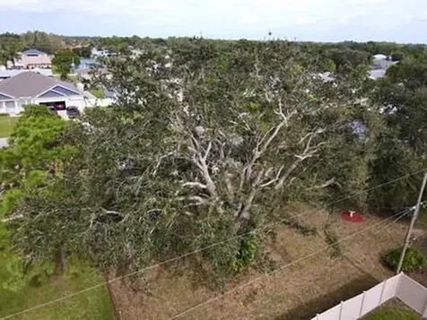 2182 SE Genoa Street Port St Lucie FL 34952