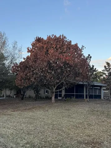 5315 SW Ranchito Street Palm City FL 34990