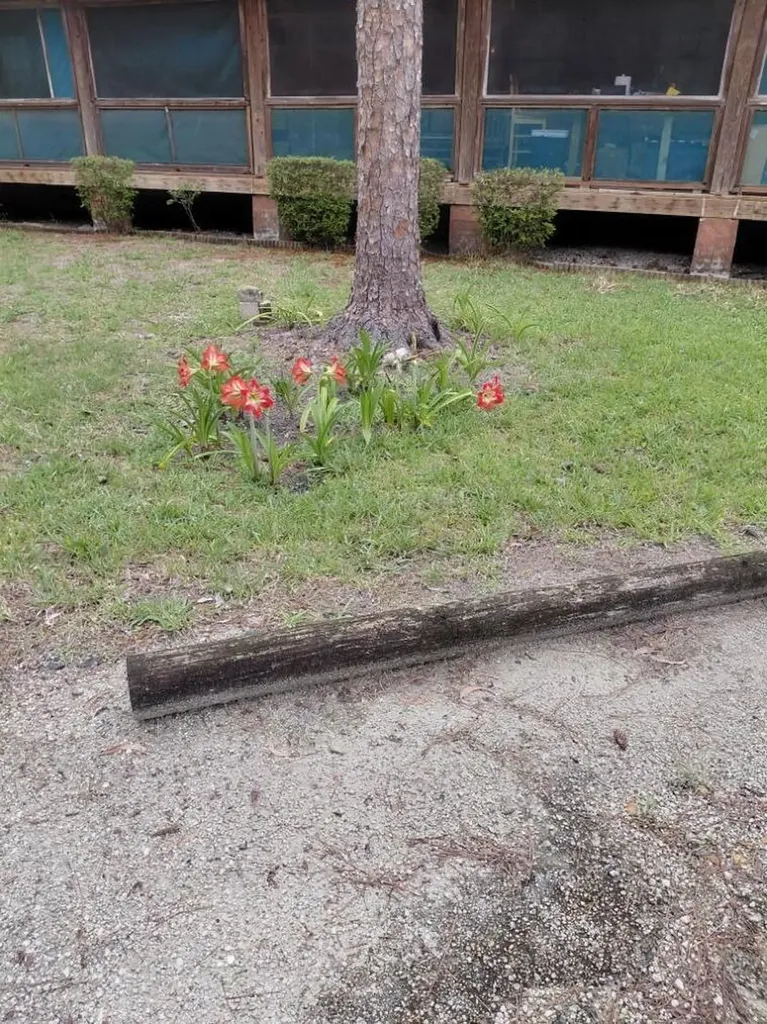 11615 Sunset Boulevard The Acreage FL 33411