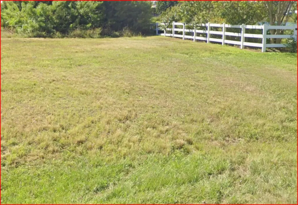 2106 NE 2nd Street Cape Coral FL 33909