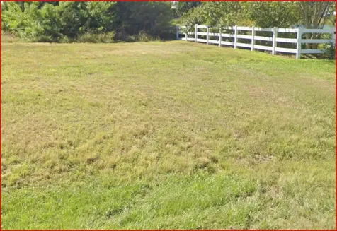 2106 NE 2nd Street Cape Coral FL 33909
