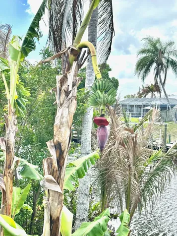 141 NE Sagamore Terrace Port St Lucie FL 34983
