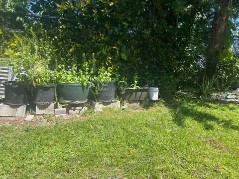 804 Summit Lake Drive West Palm Beach FL 33406