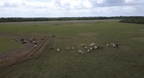 33700 Highway 441 Okeechobee FL 34972