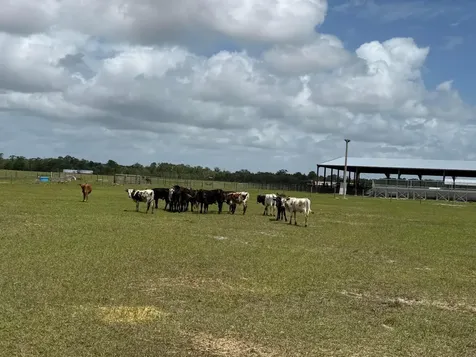 33700 Highway 441 Okeechobee FL 34972