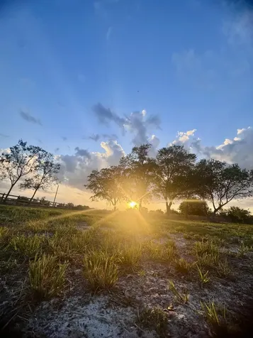 14769 NW 244th Street Okeechobee FL 34972
