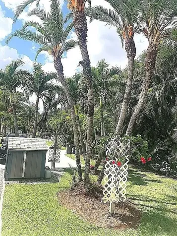 16826 126th Terrace N Jupiter FL 33478