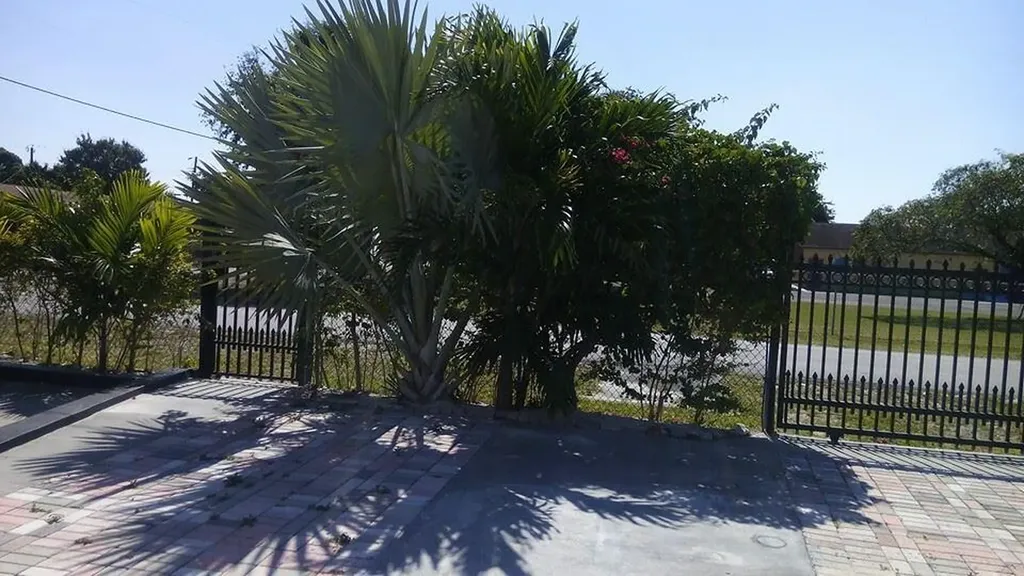 Miami FL