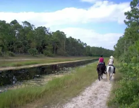 1340 Arabian Drive Loxahatchee FL 33470