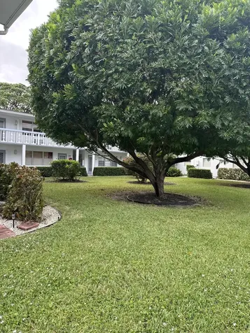 51 Tilford C Deerfield Beach FL 33442