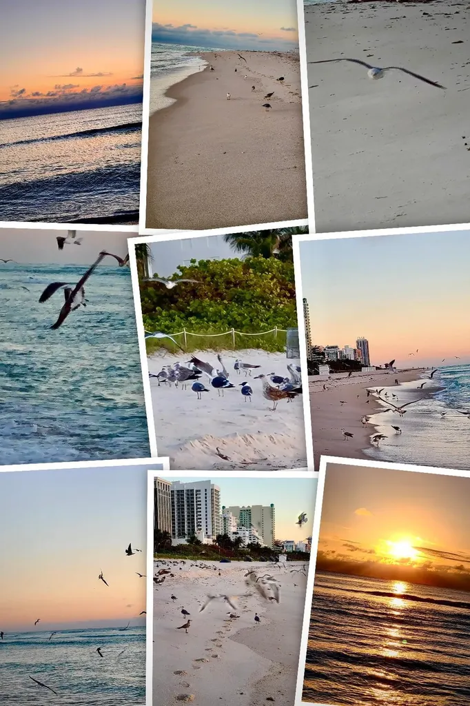 7300 Wayne Avenue Miami Beach FL 33141