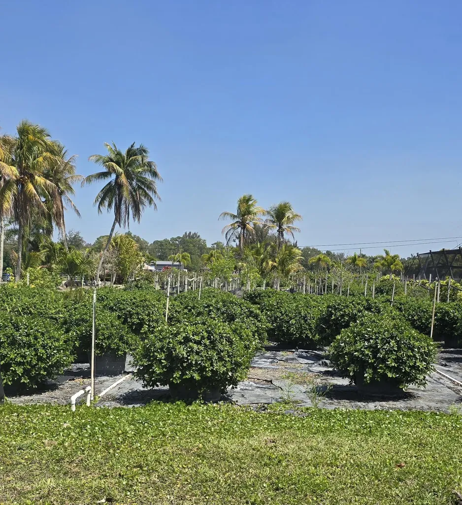 6773 Park Lane W Lake Worth FL 33449