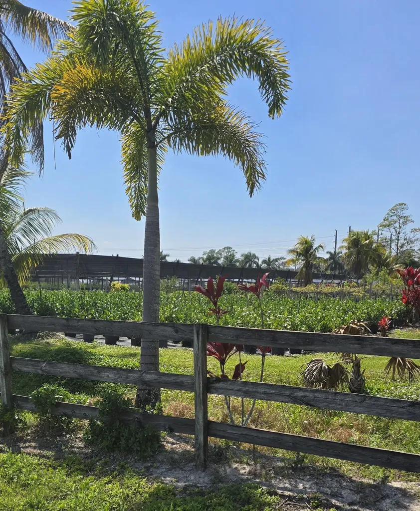 6773 Park Lane W Lake Worth FL 33449