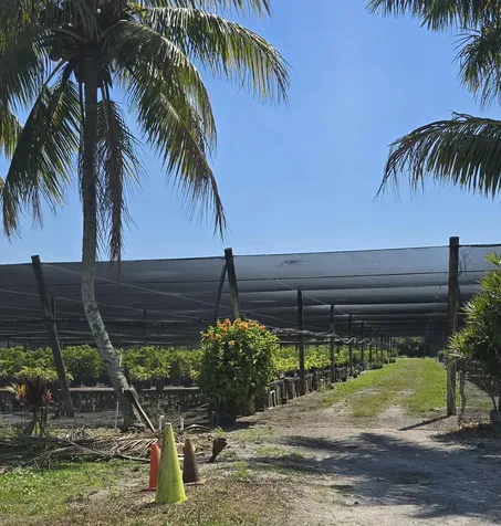 6773 Park Lane W Lake Worth FL 33449