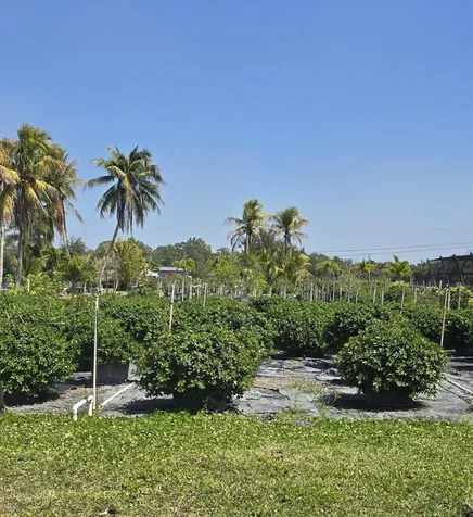 6773 Park Lane W Lake Worth FL 33449