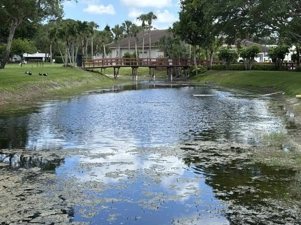 10222 Pine Drive Boynton Beach FL 33437