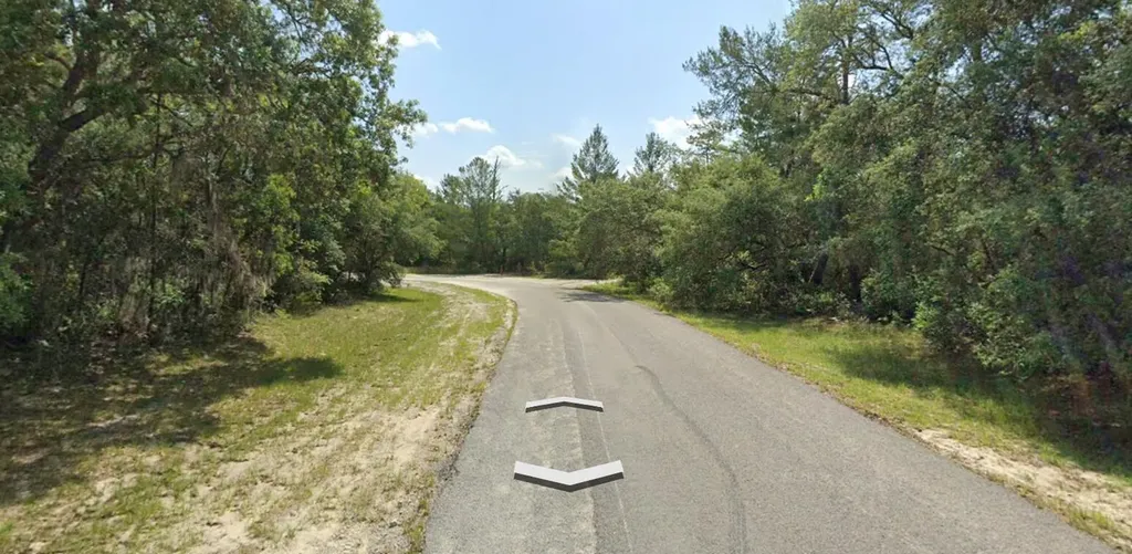 Tbd SW 72nd Circle Dunnellon FL 34432