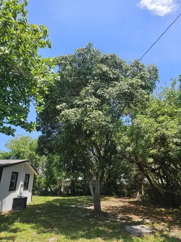 1605 W 10th Street Riviera Beach FL 33404
