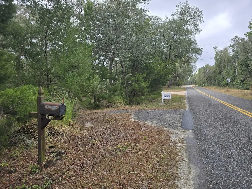 12890 NW 90th Avenue Chiefland FL 32626