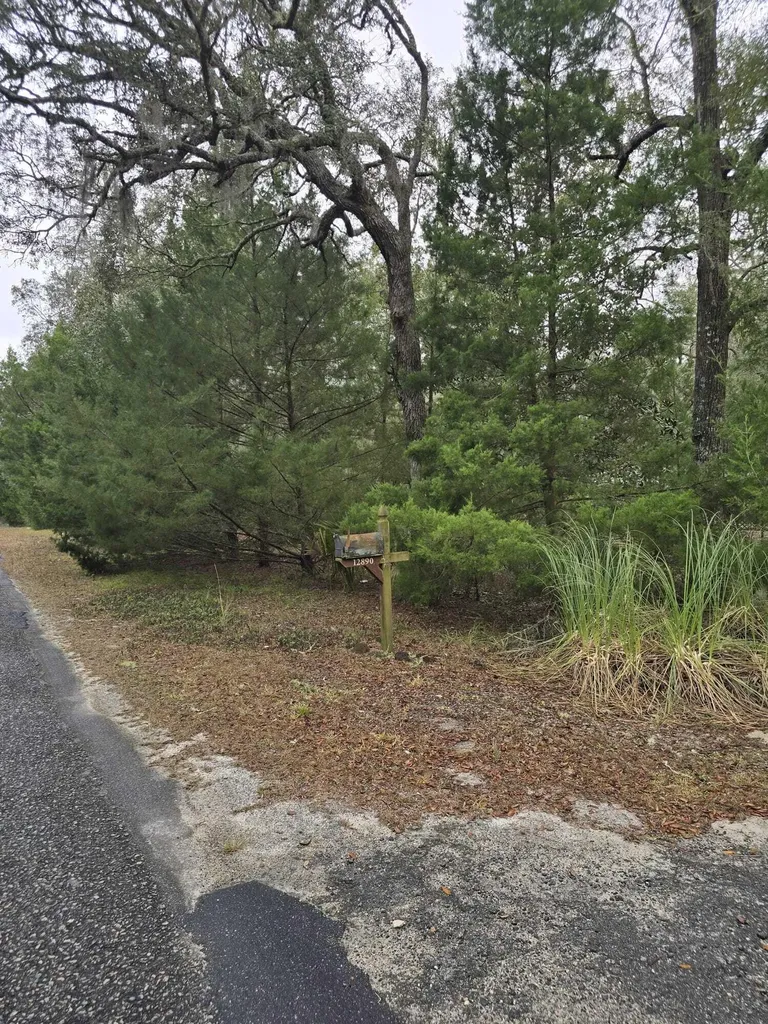 12890 NW 90th Avenue Chiefland FL 32626
