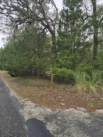 12890 NW 90th Avenue Chiefland FL 32626