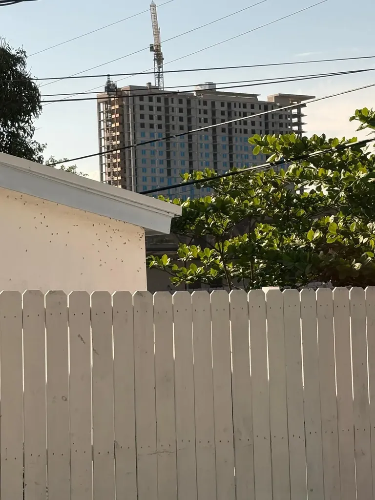 4357 SW 50th Street Fort Lauderdale FL 33314