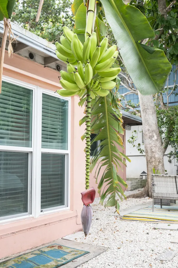 204 Coral Road Boynton Beach FL 33435