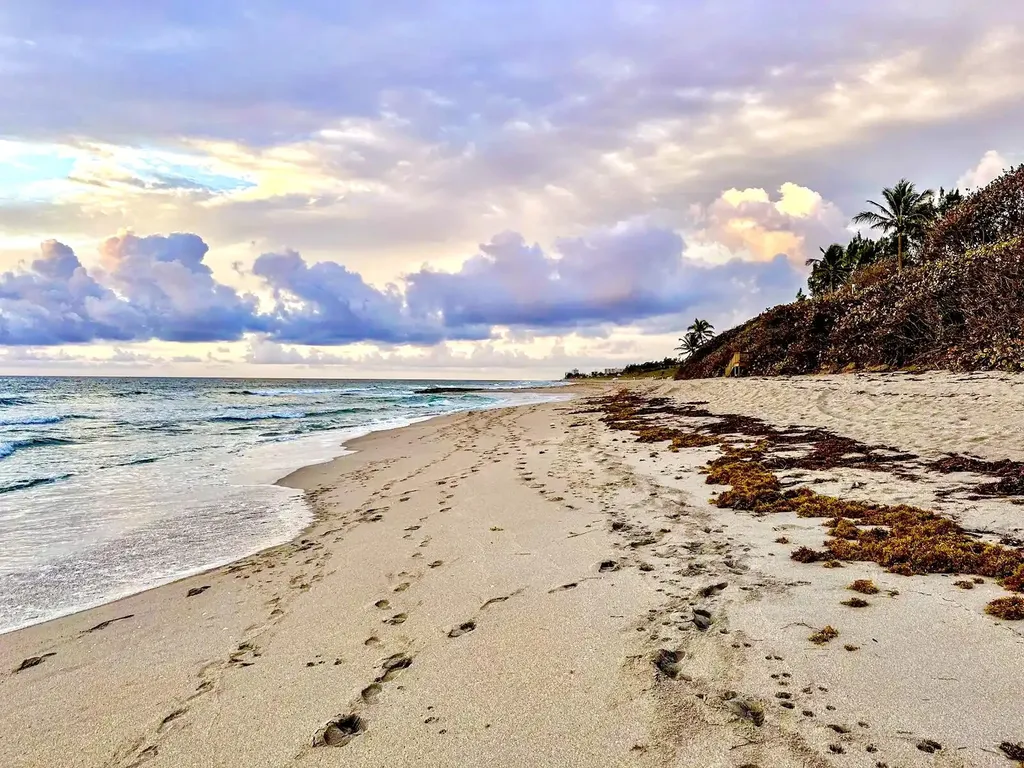 4501 N Ocean Boulevard Boca Raton FL 33431