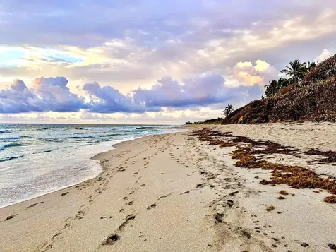 4501 N Ocean Boulevard Boca Raton FL 33431