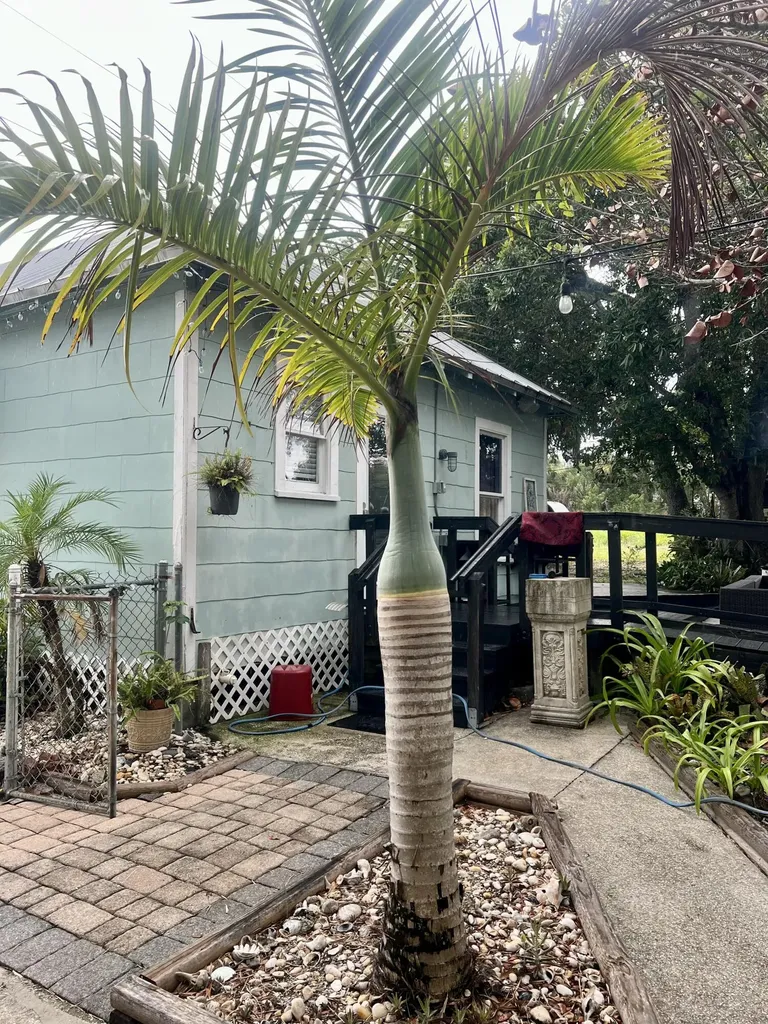208 Avenue E Fort Pierce FL 34950