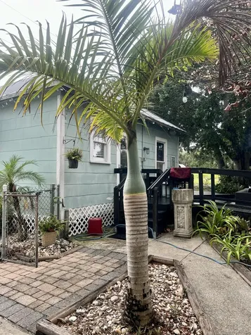 208 E Avenue Fort Pierce FL 34950