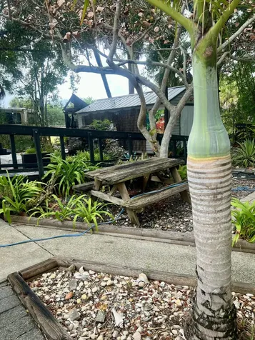 208 E Avenue Fort Pierce FL 34950