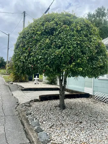 208 E Avenue Fort Pierce FL 34950