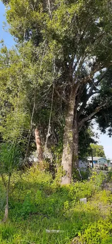 2151 Barbara Avenue Fort Pierce FL 34982