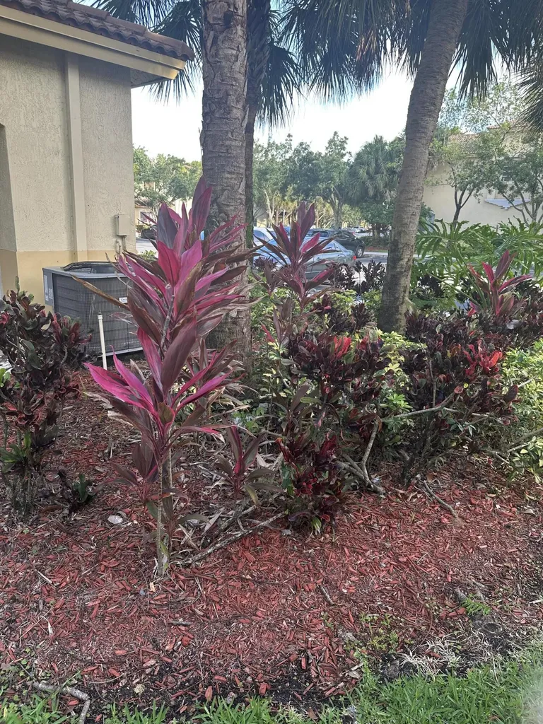 2526 SW 83rd Terrace Miramar FL 33025