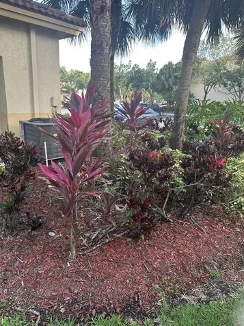 2526 SW 83rd Terrace Miramar FL 33025