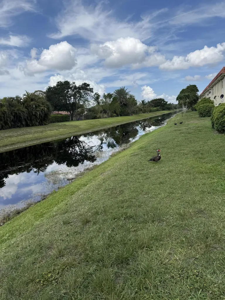 11080 Royal Palm Boulevard Coral Springs FL 33065