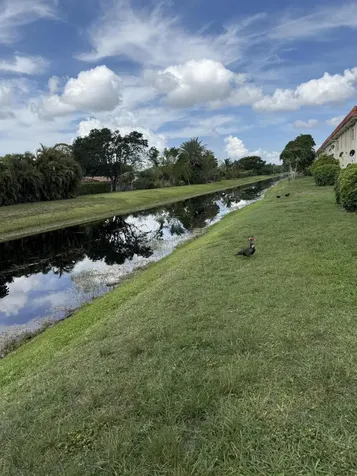 11080 Royal Palm Boulevard Coral Springs FL 33065