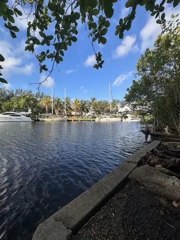 232 SW 14th Avenue Fort Lauderdale FL 33312