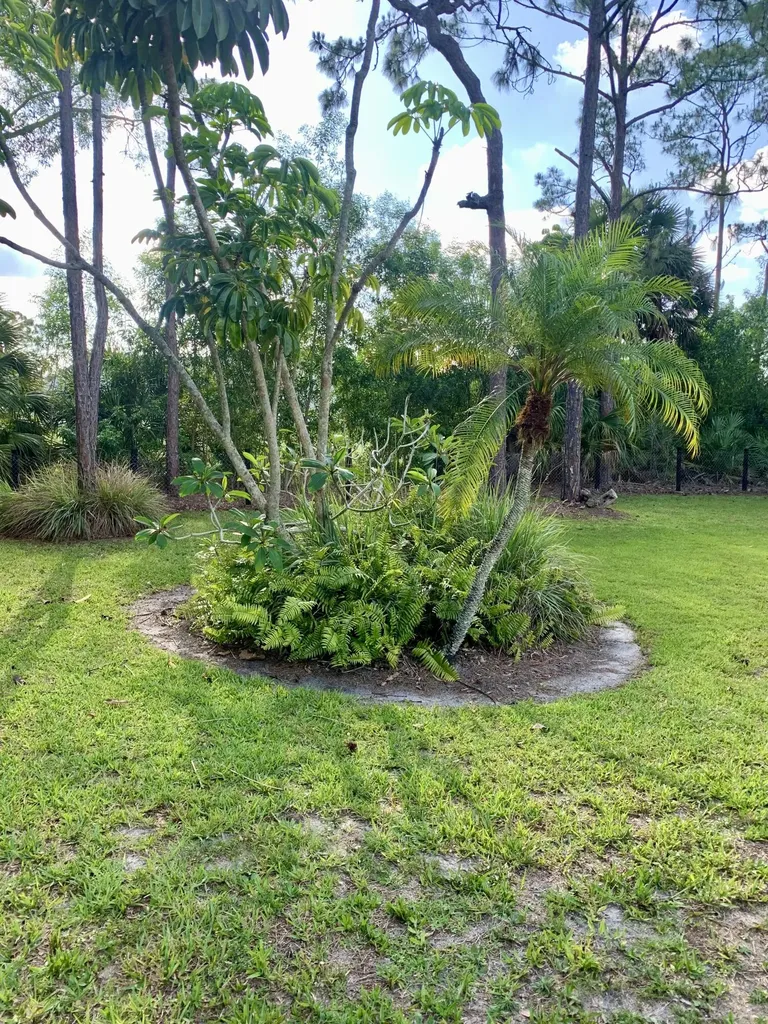 12920 N 75th Lane Lane N The Acreage FL 33412