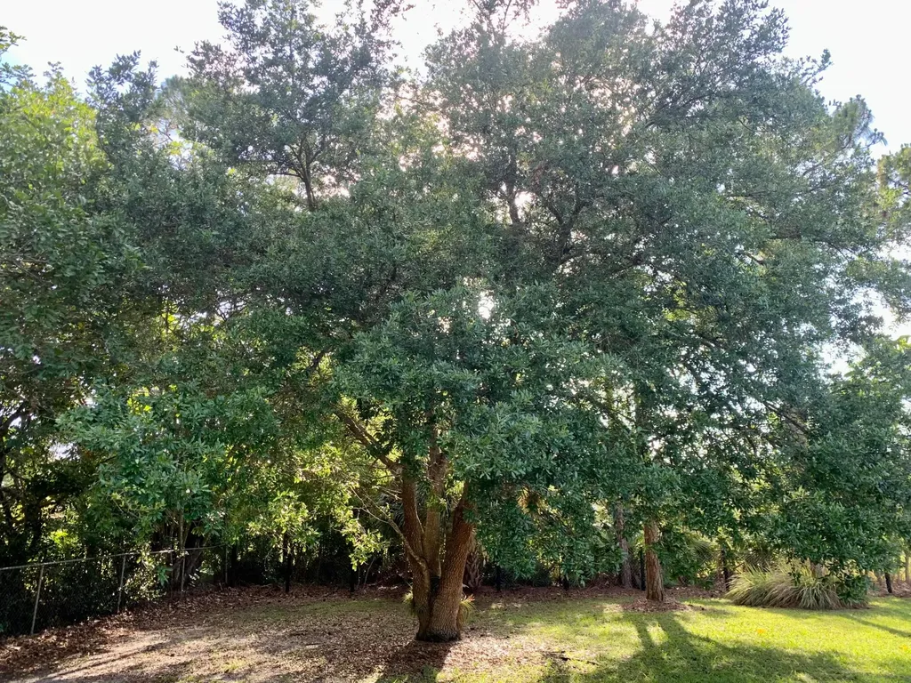 12920 N 75th Lane Lane N The Acreage FL 33412