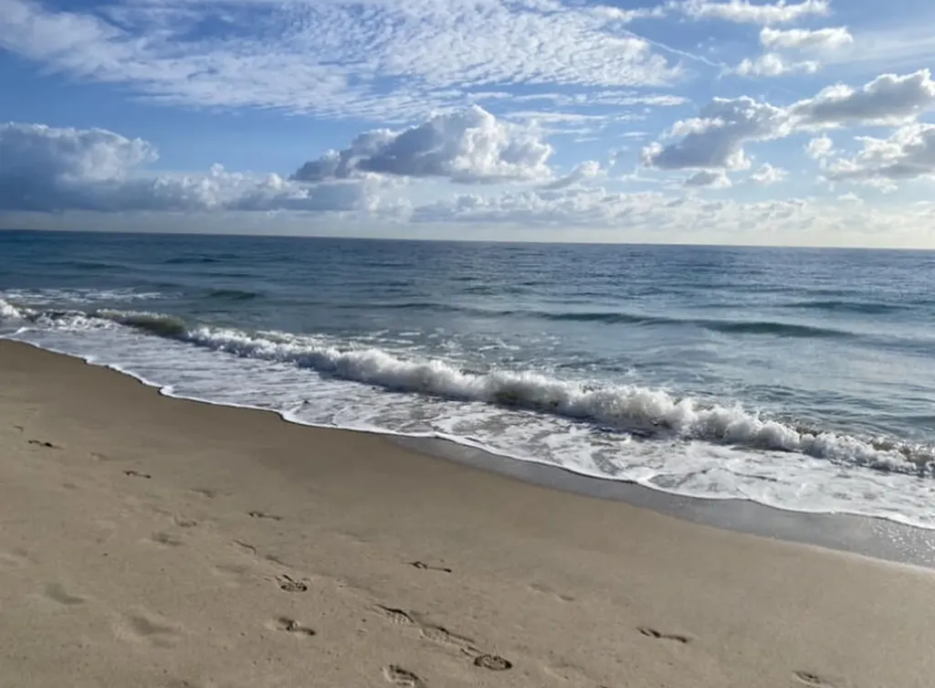 1480 S Ocean Boulevard Lauderdale By The Sea FL 33062
