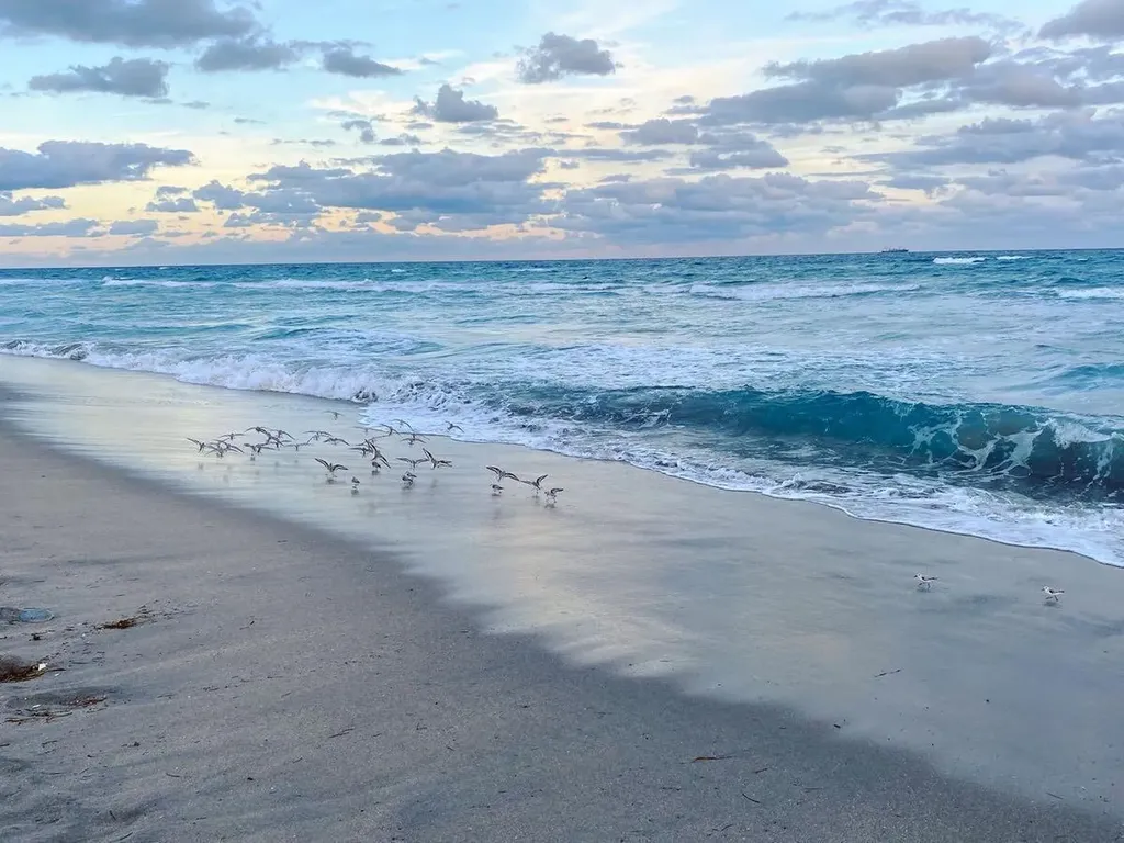 832 SW 10th Avenue Boca Raton FL 33486