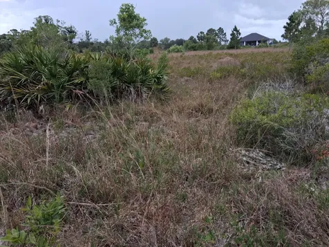 18668 NW 258th Street Okeechobee FL 34972