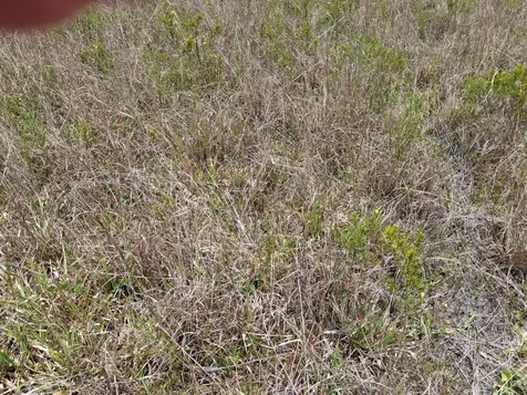 18668 NW 258th Street Okeechobee FL 34972